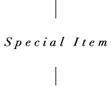 Special Items
